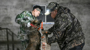 China's viral wild boar hunters attract fame and concern