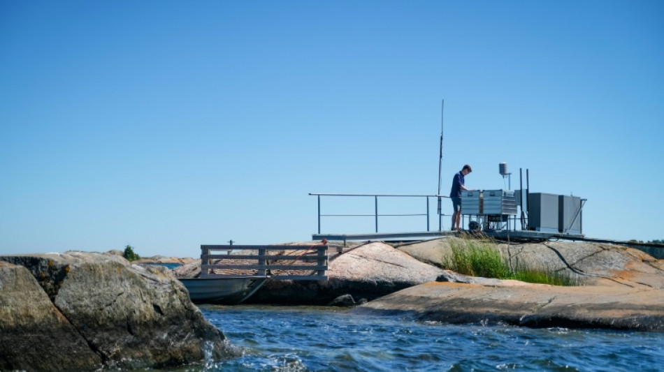 Warming Baltic Sea: a red flag for global oceans 