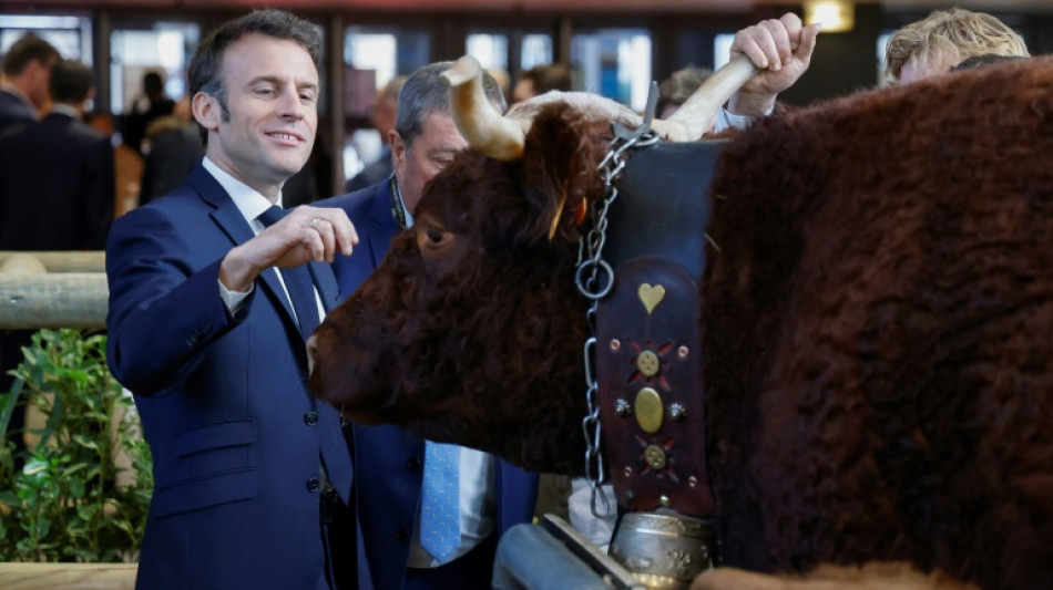 Au salon de l'Agriculture, Ovalie, Poète et les autres, la ferme "en vrai"