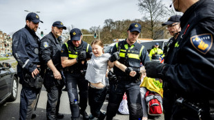 Greta Thunberg interpellée lors d'une manifestation à La Haye