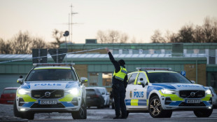 'Multiple nationalities' among victims in Swedish mass shooting: police