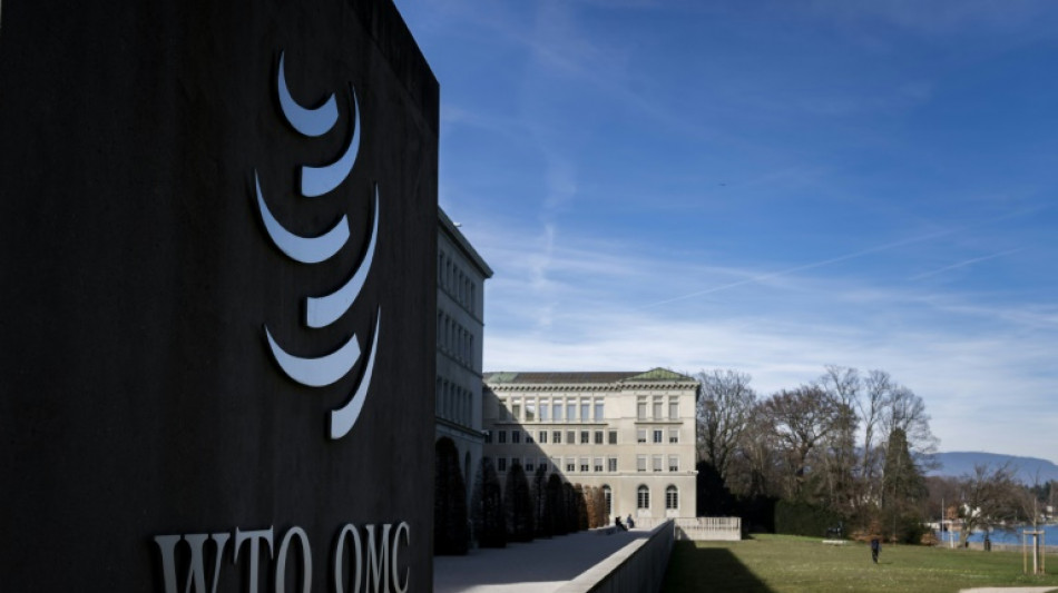 Amid Trump trade tensions, WTO remains crippled arbiter