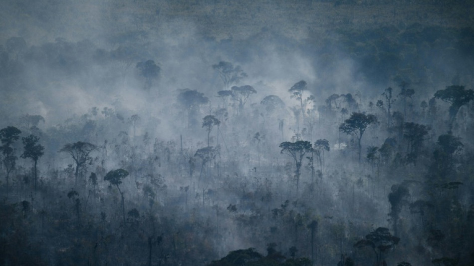 Incendios en la Amazonía de Brasil aumentaron en julio