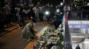 Seoul's Halloween crush 'predictable, preventable,' analysts say