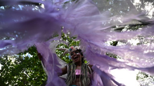 Confira cinco pontos sobre o carnaval do Rio