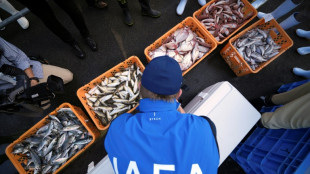 L'AIEA inspecte des poissons sur un marché de Fukushima