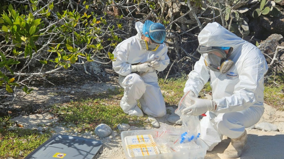 Avian flu hits bird paradise of Galapagos Islands