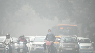 Mounting economic costs of India's killer smog