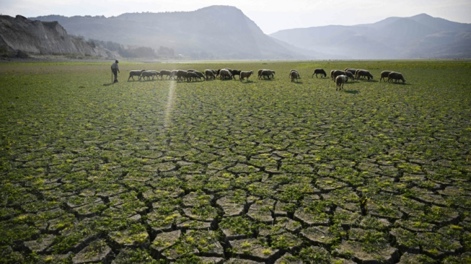 Weltmeteorologieorganisation: Ziele des Pariser Klimaabkommens "in großer Gefahr"