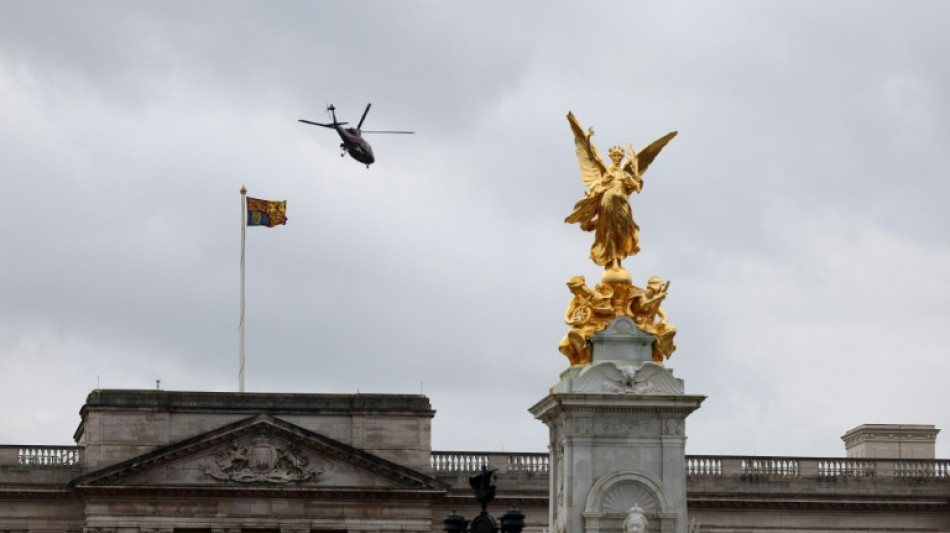 Un hombre detenido tras chocar un automóvil contra la verja de Buckingham Palace