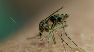 Le vaccin anti-chikungunya de Valneva enregistre des résultats prometteurs