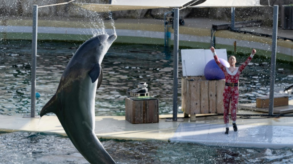 French marine park closes over law banning killer whale shows