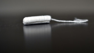 Ifo: Steuersenkung für Tampons durch höhere Preise für Slipeinlagen torpediert