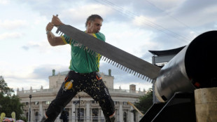 Au pied de la mairie de Vienne, les bûcherons font leur show