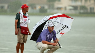 Straka scores first for Austria with Honda Classic win