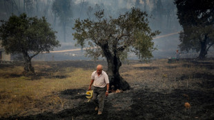 Western Europe heatwave to peak in scorching Spain