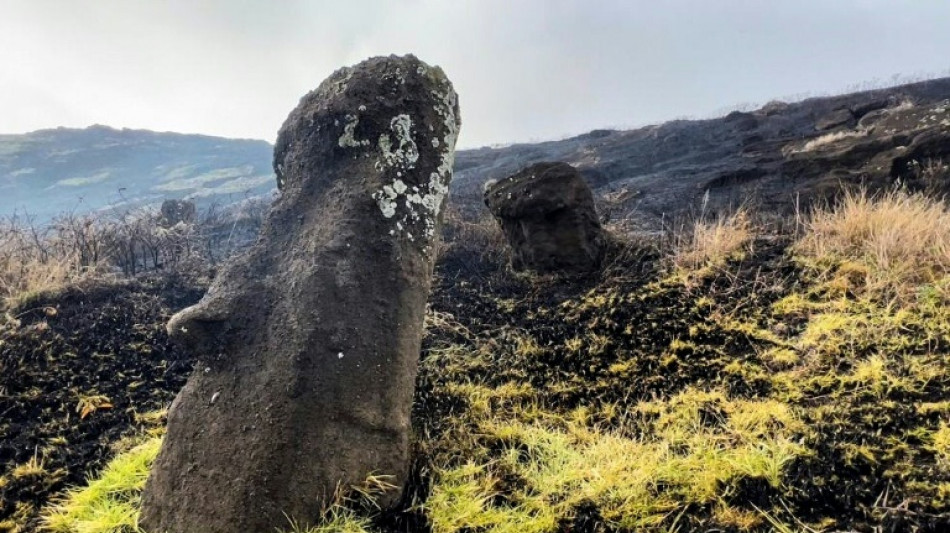 Easter Island blaze chars famous moai statues