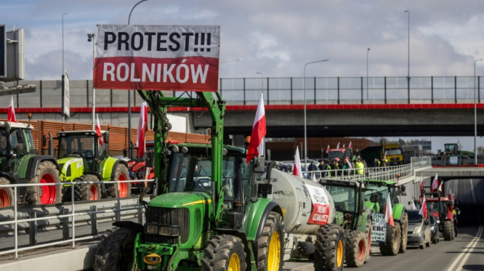 Ukraine: EU-Länder einigen sich auf Beschränkungen für zollfreie Agrarimporte