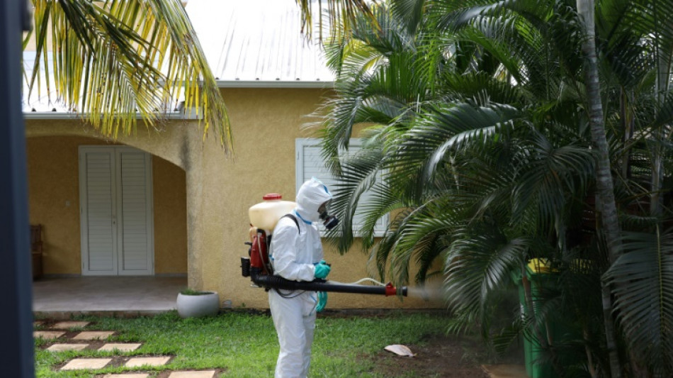 Chikungunya à La Réunion: une campagne de vaccination va cibler les personnes les plus à risque