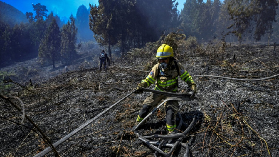 Colombia declares emergency over raging forest fires