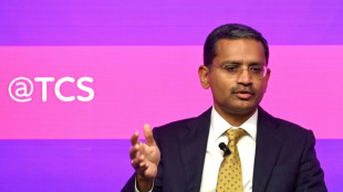 Indian software provider TCS sees strong earnings, record orders