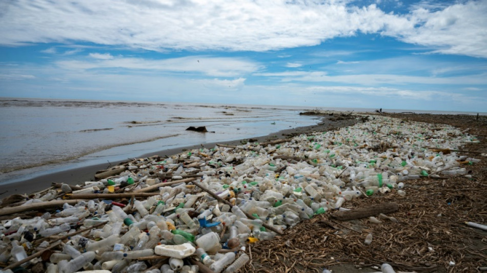 Seringues et déchets hospitaliers tapissent des plages du Venezuela