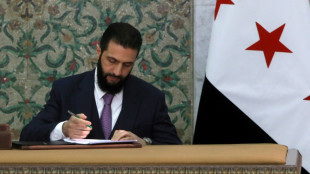 Syria leader signs constitutional declaration, hailing 'new history'