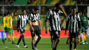 Botafogo: guia de um desastre histórico que enterrou o sonho do Brasileirão