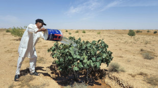 Libye: jadis fertile, une zone montagneuse en proie au dérèglement climatique