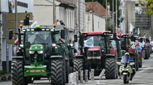 ¿Francia puede bloquear el acuerdo comercial entre la UE y el Mercosur?