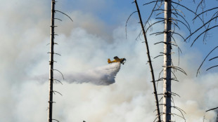 Einsatzkräfte beginnen nach Waldbrand am Brocken mit Ermittlungen zur Ursache