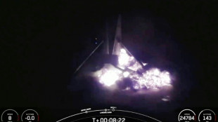 SpaceX's Falcon 9 rocket grounded pending mishap investigation