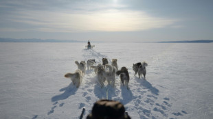 On thin ice: Greenland's last Inuit polar bear hunters