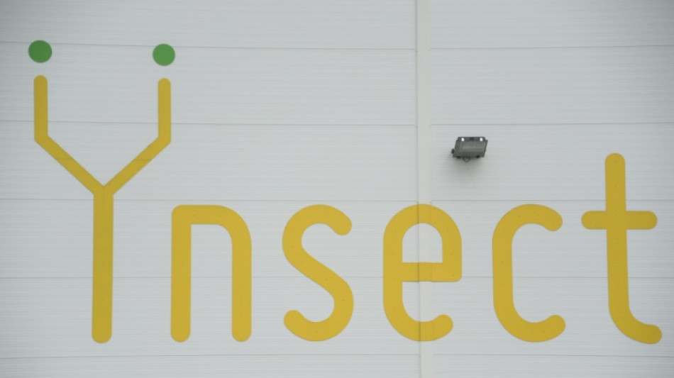 Protéines d'insectes: la start-up Ynsect n'a pas trouvé de repreneur ou nouvel investisseur