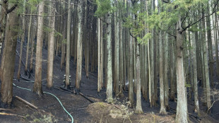 Japon : le pire incendie de forêt depuis 50 ans est maîtrisé