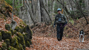 Japon: des bergers très spéciaux face à la menace ours