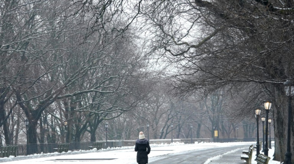 Après un hiver doux, New York enfin sous la neige