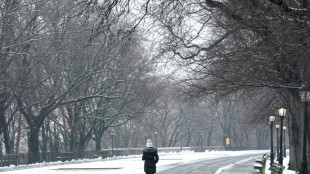 New York gets biggest snowfall of unusually mild winter