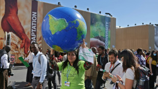 Ecologistas acusan a los promotores de las energías fósiles de aumentar su presencia en la COP27