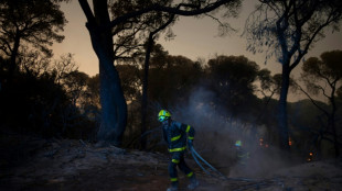 Waldbrände und sengende Hitze in Portugal, Spanien und Zypern