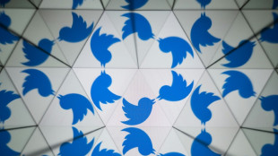 Musk hints Twitter's bird branding could be replaced