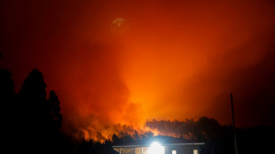 Death toll in Chile forest fires rises to 22: official