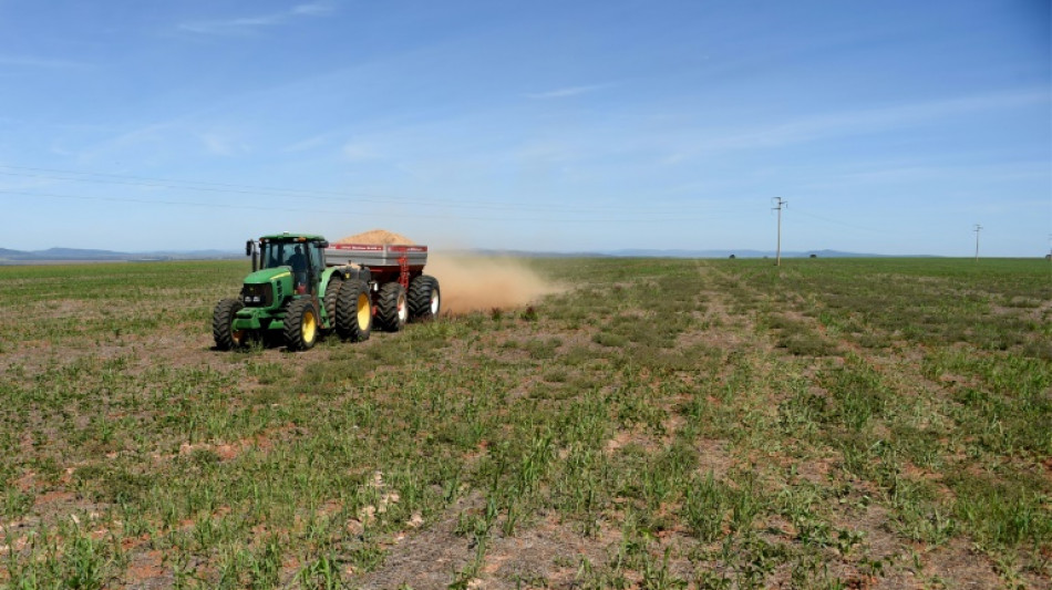 Anstieg der Erzeugerpreise für landwirtschaftliche Produkte ebbt weiter ab