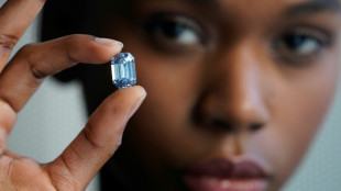 Sotheby's tips largest blue diamond at auction to fetch $48 mn