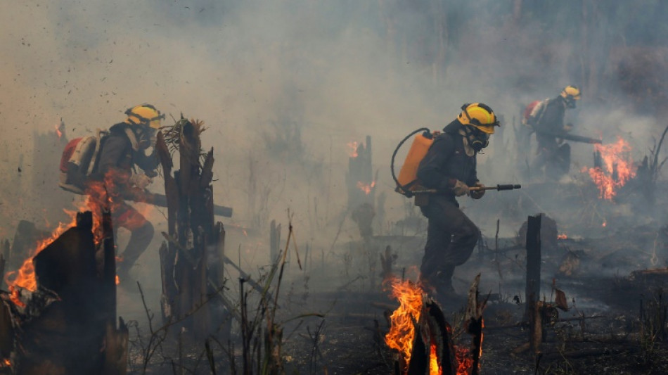 Área incendiada en Brasil casi se duplica en noviembre respecto a mismo mes en 2021