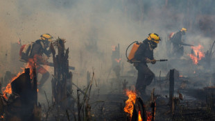 Área incendiada en Brasil casi se duplica en noviembre respecto a mismo mes en 2021