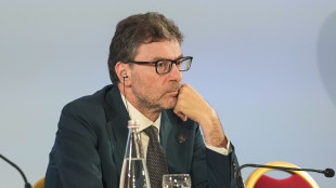 Giorgetti, 'su Green deal Ue vedremo prossima Commissione'