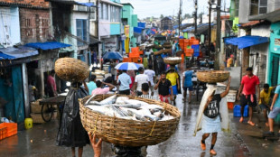 En Inde, le commerce du poisson hilsa victime de la crise politique au Bangladesh