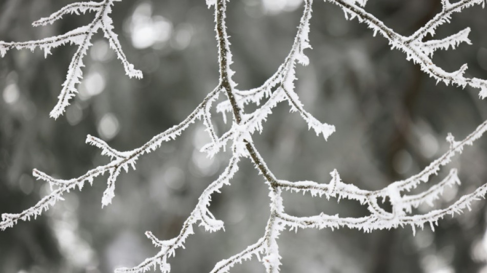 Frost sorgt für Pannenboom: Allein rund tausend Notrufe am Montag in Sachsen