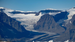 Toutes les régions glaciaires ont vu leur masse fondre l'an dernier, selon l'ONU